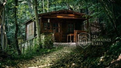 Chalet en bois dans la forêt