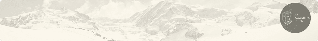Vue extérieure du domaine MMV Le Monte Bianco à Megève en Auvergne-Rhône-Alpes