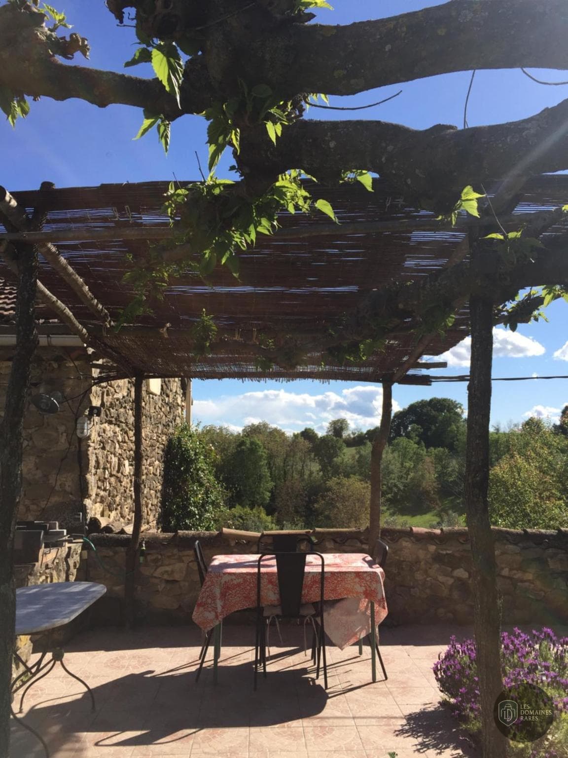 Vue extérieure du lieu Ma Cocotte en Île-de-France