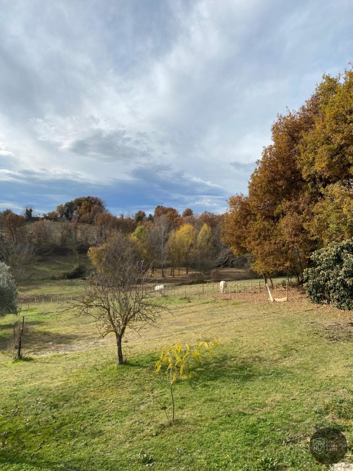 Vue extérieure du lieu Ma Cocotte en Île-de-France