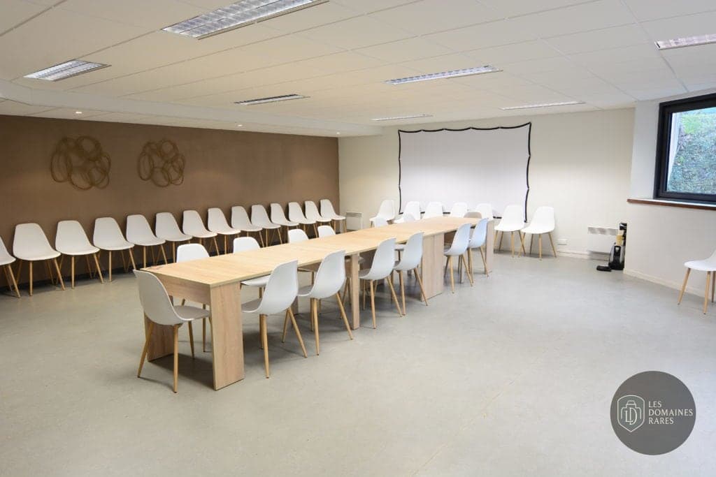 Salle de réunion spacieuse