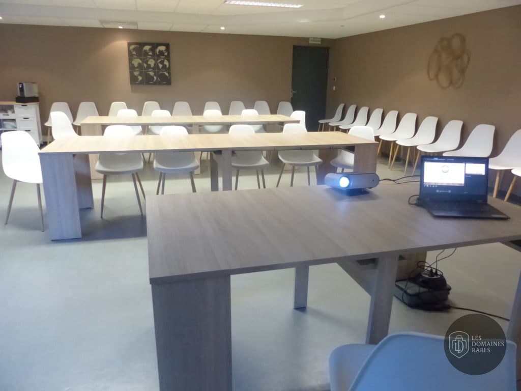 Salle de réunion avec projecteur