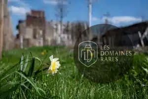 Vue extérieure du lieu Mains d'Oeuvres en Île-de-France
