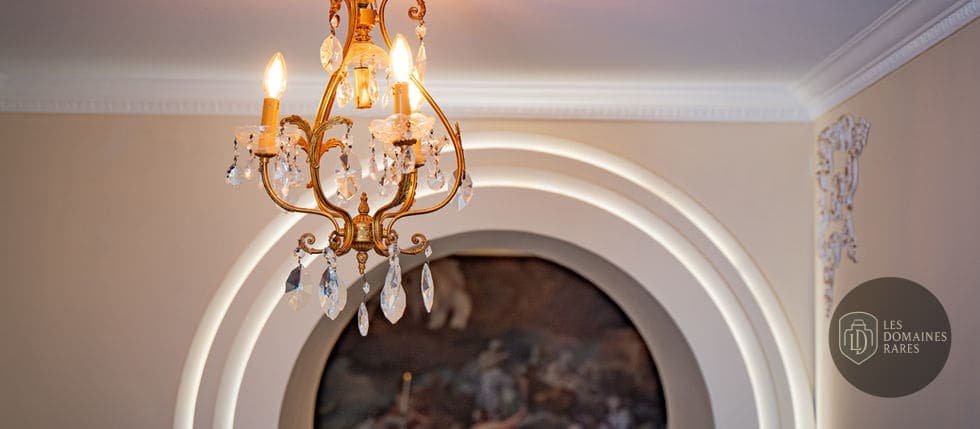 Détail d'un lustre et moulures