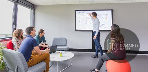 Réunion avec tableau interactif