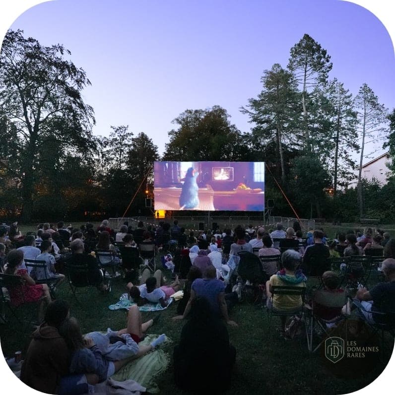 Cinéma en plein air dans le parc