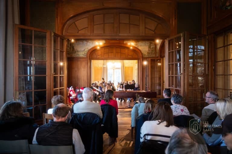 Public regardant un spectacle dans une salle