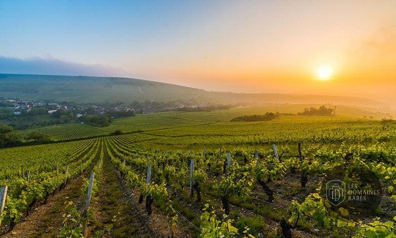 Vue extérieure du lieu Maison des Sancerre à Sancerre en Centre-Val de Loire