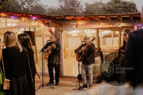 Musiciens jouant en extérieur, soirée événementielle