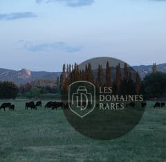 Manade Caillan 2 étoiles - Domaine événementiel en Provence-Alpes-Côte d'Azur pour séminaire saint-rémy-de-provence, france