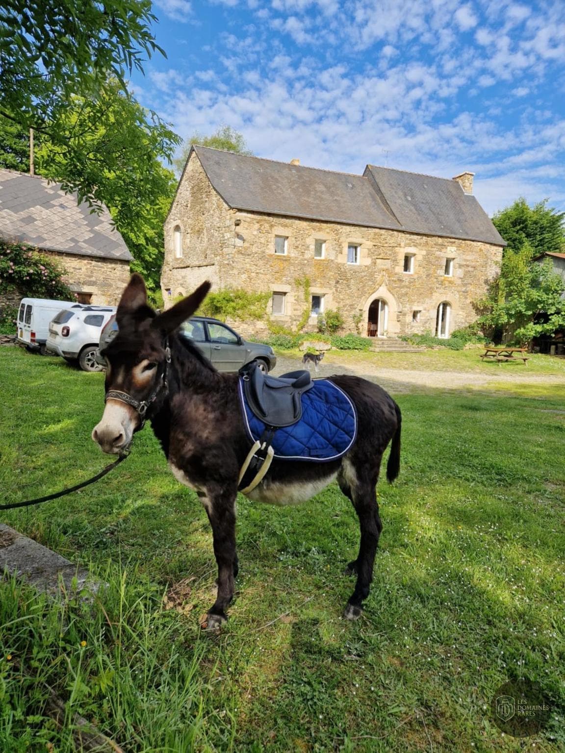 Vue du manoir Manoir de Blosseville à Pinnedepie en Normandie