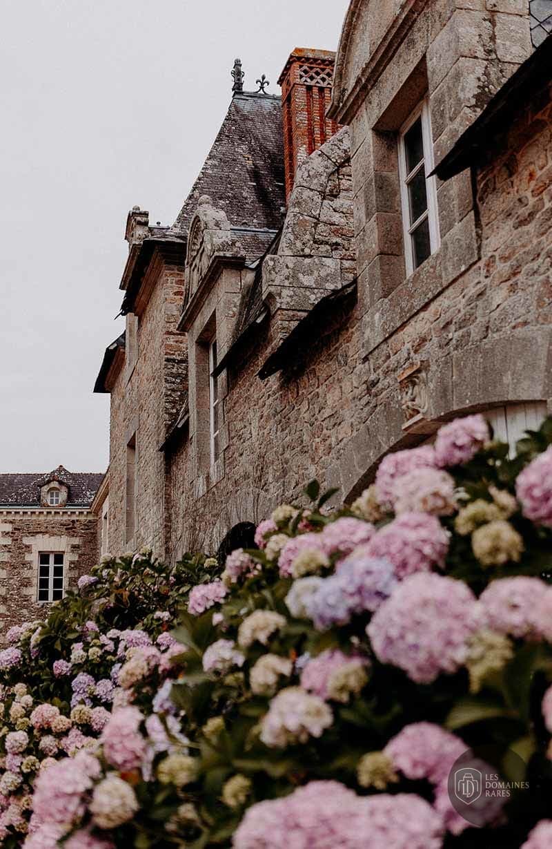 Détail façade en pierre et hortensias