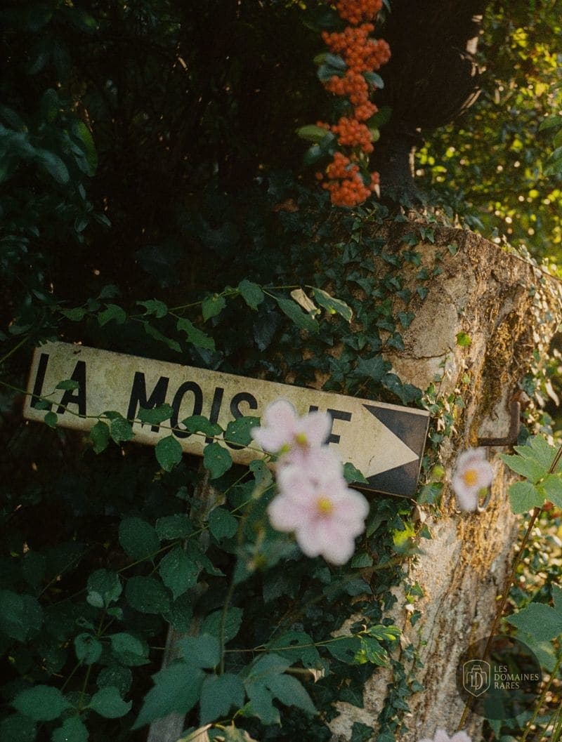 Manoir de la Moissie - Manoir à Belvès pour séminaire belvès, france