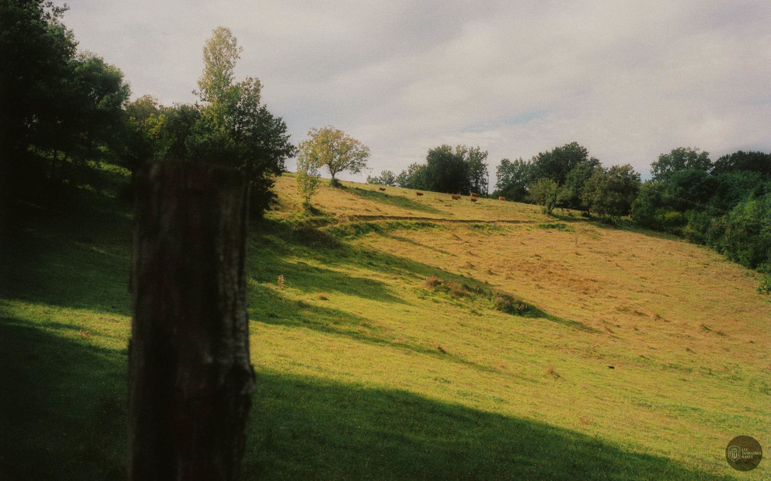 Vue extérieure du manoir Manoir de la Moissie à Belvès en Nouvelle-Aquitaine