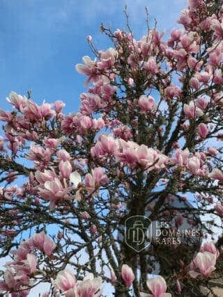 Vue extérieure du manoir Manoir de la Moissie à Belvès en Nouvelle-Aquitaine