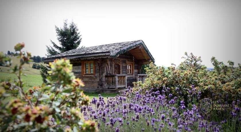 Chalet en bois et jardin fleuri