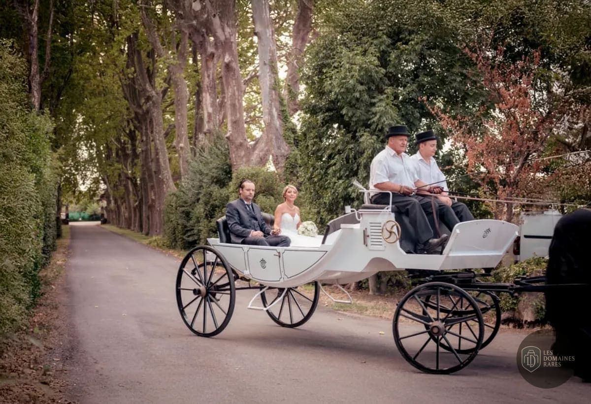Allée arborée avec calèche mariage