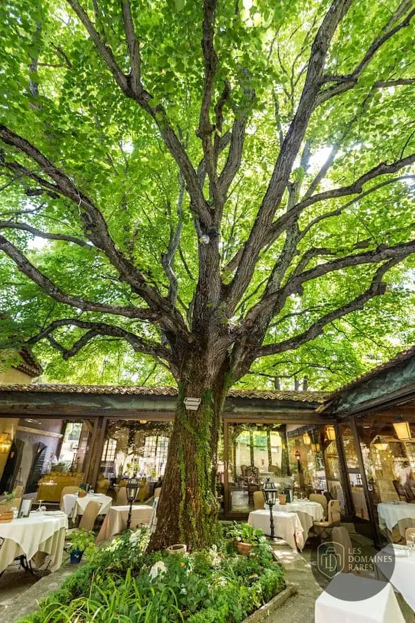 Restaurant du domaine Mas d'Entremont à Aix en Provence-Alpes-Côte d'Azur