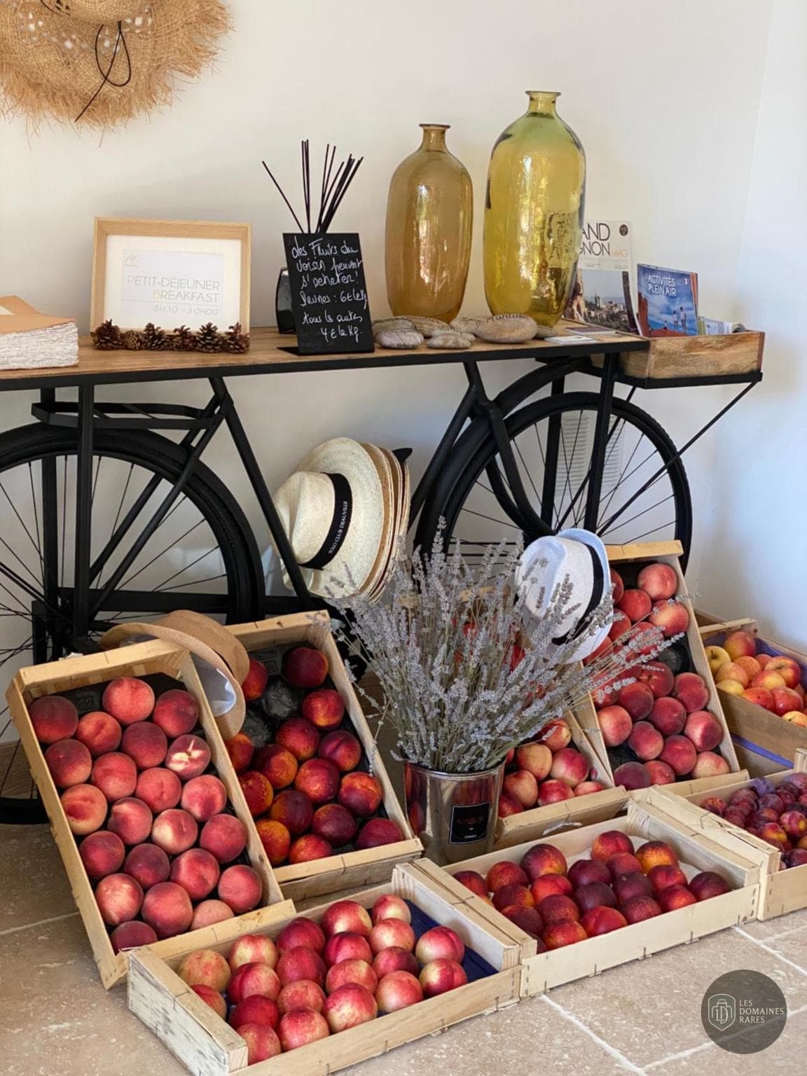 Restaurant du domaine Mas de Capelou en Provence-Alpes-Côte d'Azur