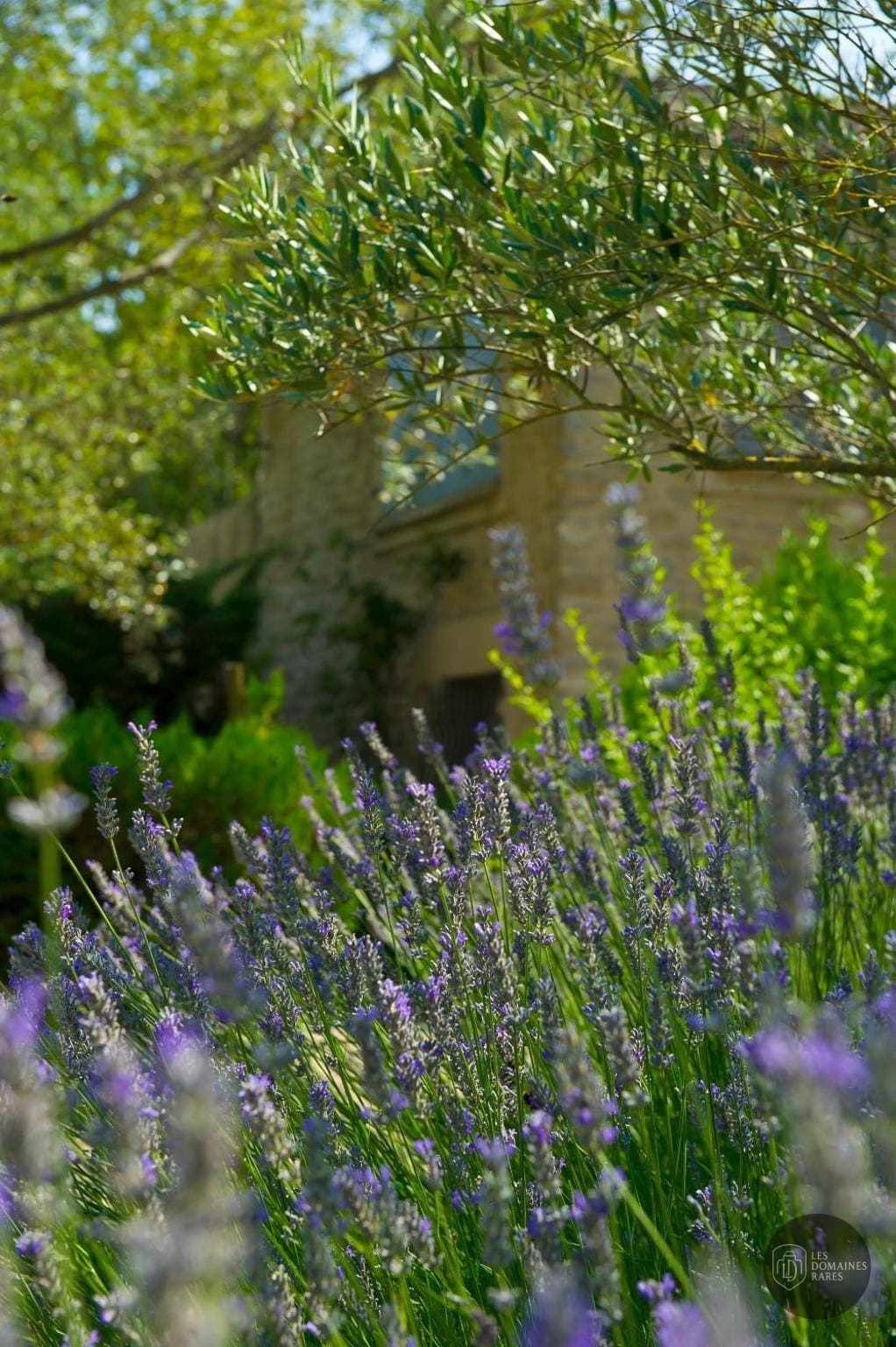 Vue extérieure du domaine Mas de Cure Bourse en Provence-Alpes-Côte d'Azur