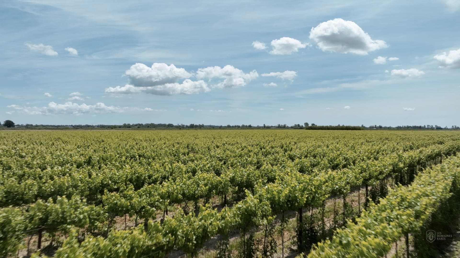Vue extérieure du château Mas de Rey en Occitanie