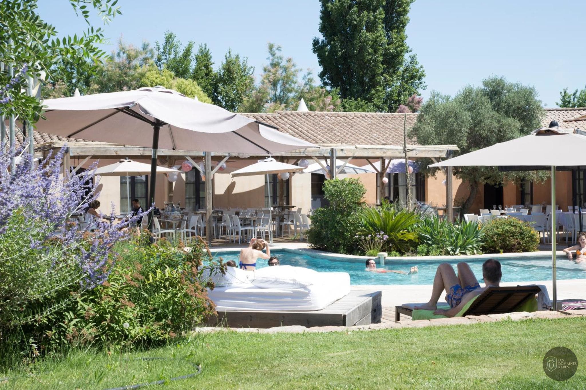 Piscine et activités du domaine Mas du Cheval en Occitanie