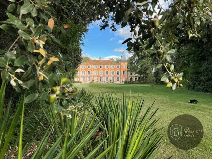 Château vu à travers la végétation