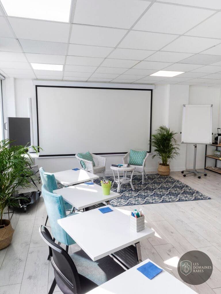 Salle de réunion 3 du lieu Meeting Villages en Île-de-France