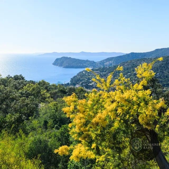 Vue extérieure du restaurant Mimosa à Paris en Île-de-France