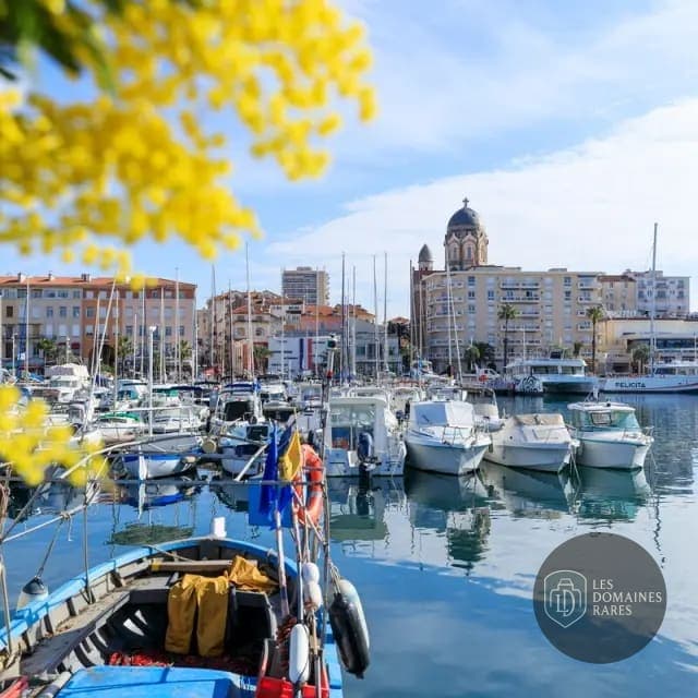 Vue extérieure du restaurant Mimosa à Paris en Île-de-France