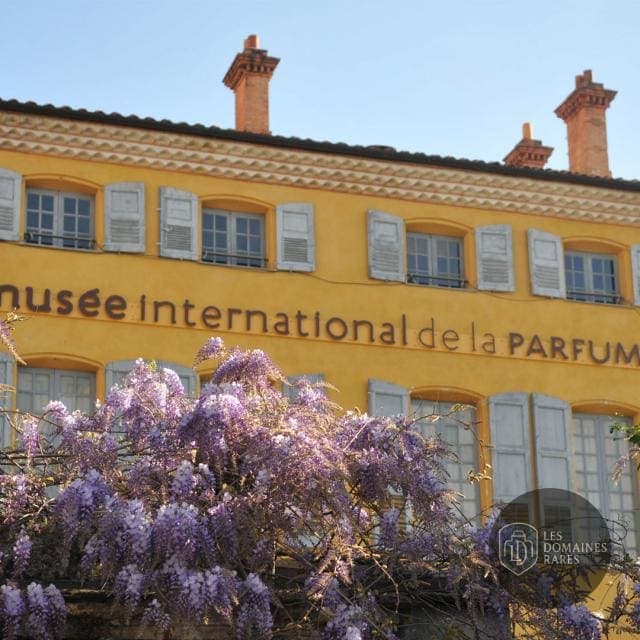 Vue extérieure du restaurant Mimosa à Paris en Île-de-France