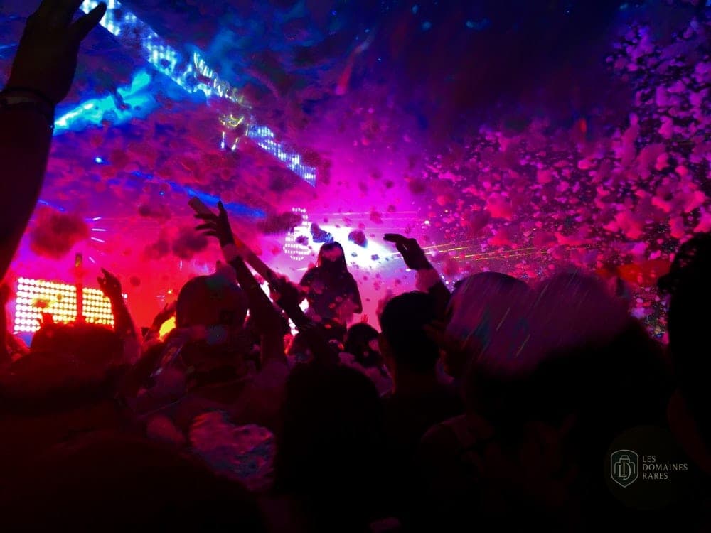 Foule faisant la fête avec de la mousse