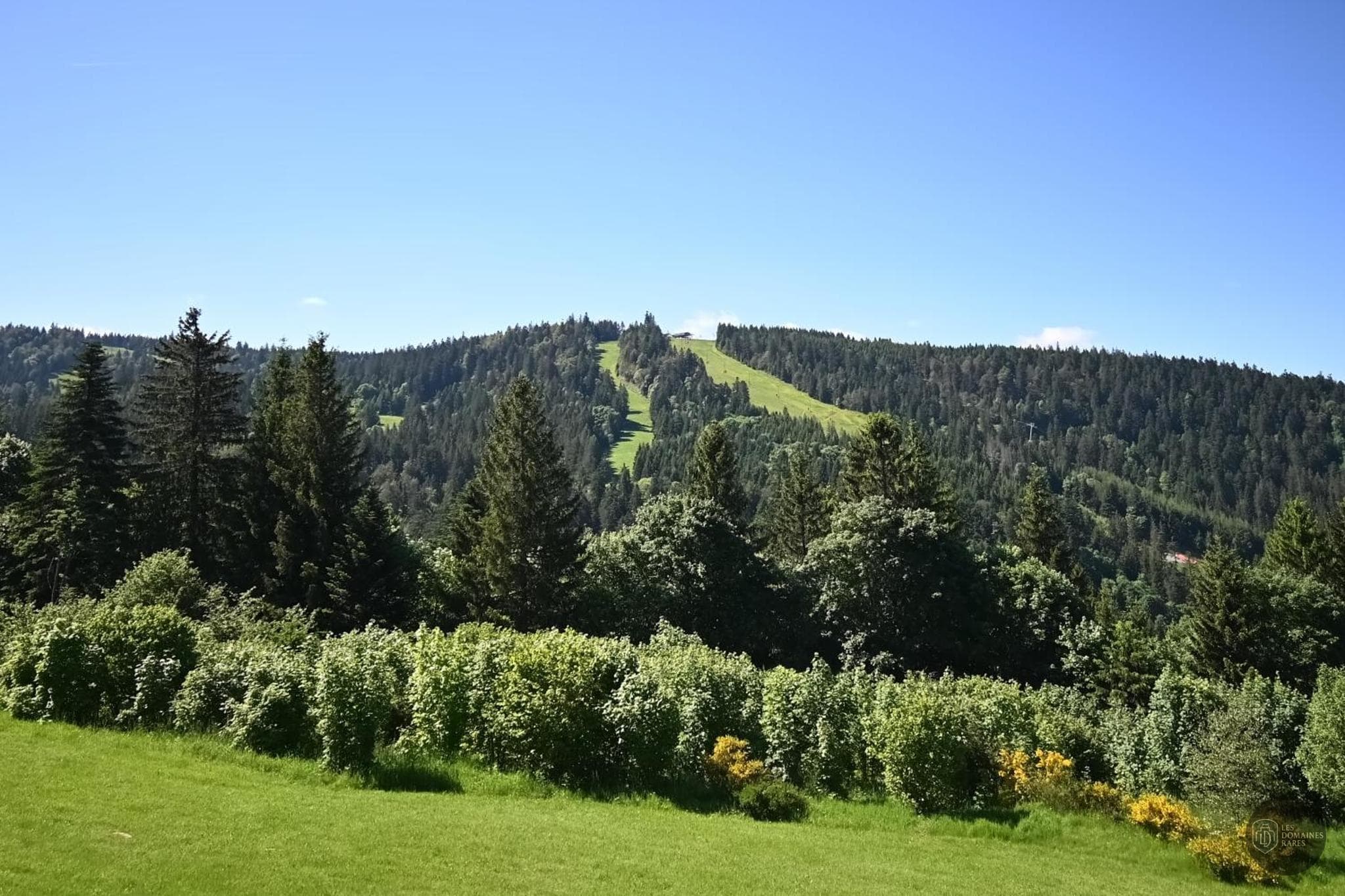 Vue du lieu Nid des Vosges à Champdray en Grand Est