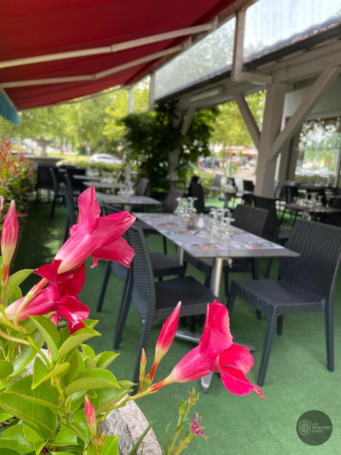 Noemys Brive — Restaurant