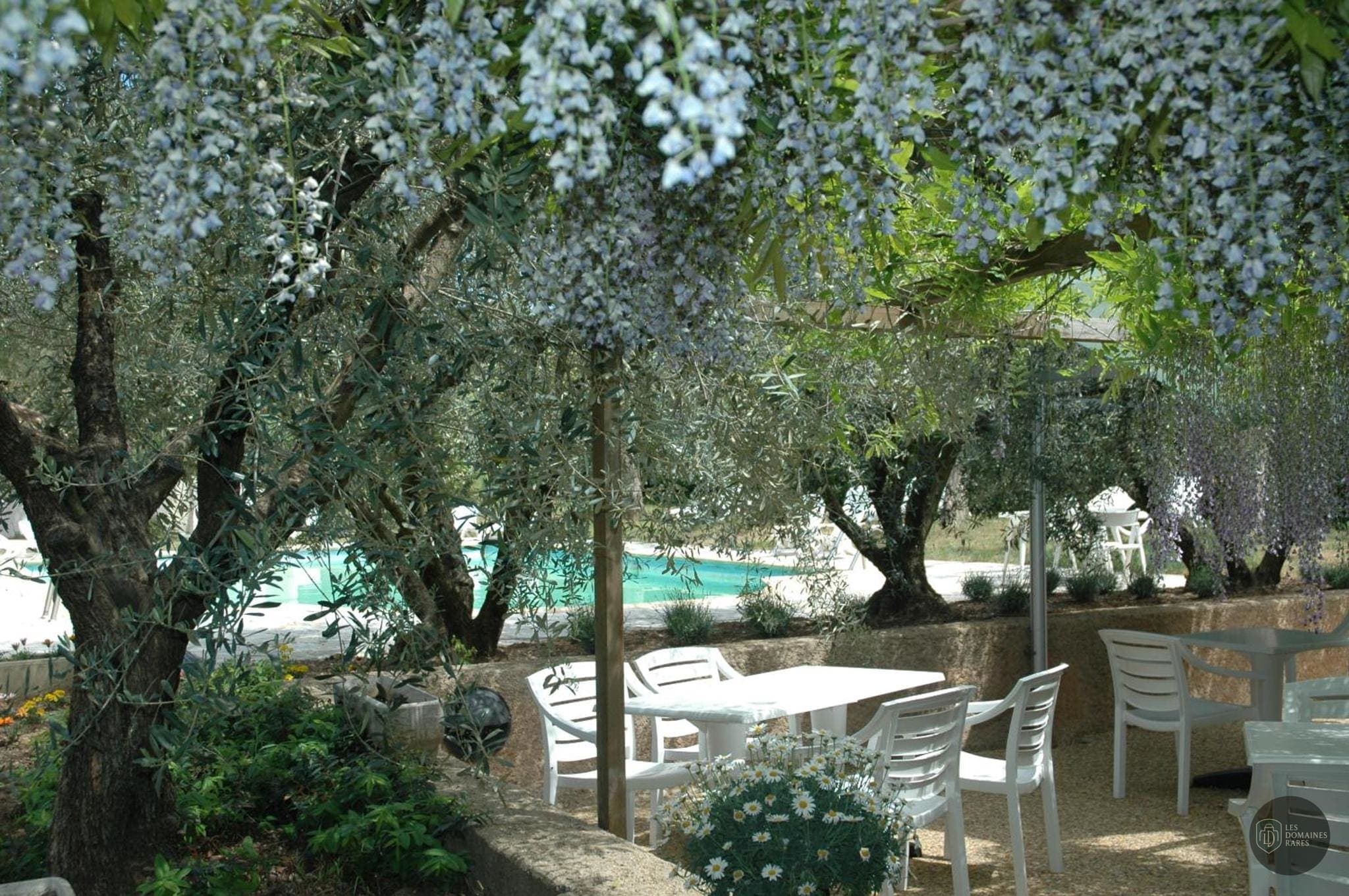 Restaurant de l'hôtel Olivier Hôtel en Provence-Alpes-Côte d'Azur - séminaire vinon-sur-verdon, france