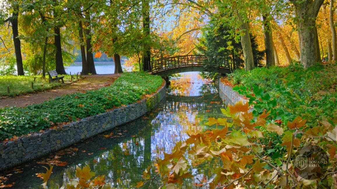 Parc de la Tête d'Or : ruisseau et pont