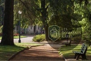Allée ombragée du Parc de la Tête d'Or