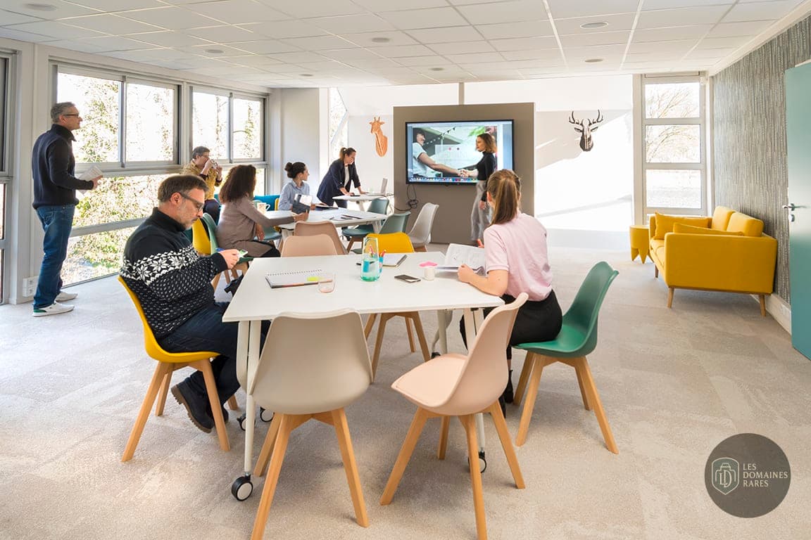 Salle de réunion 1 de l'auberge Oobee Cowork à Meylan en Auvergne-Rhône-Alpes