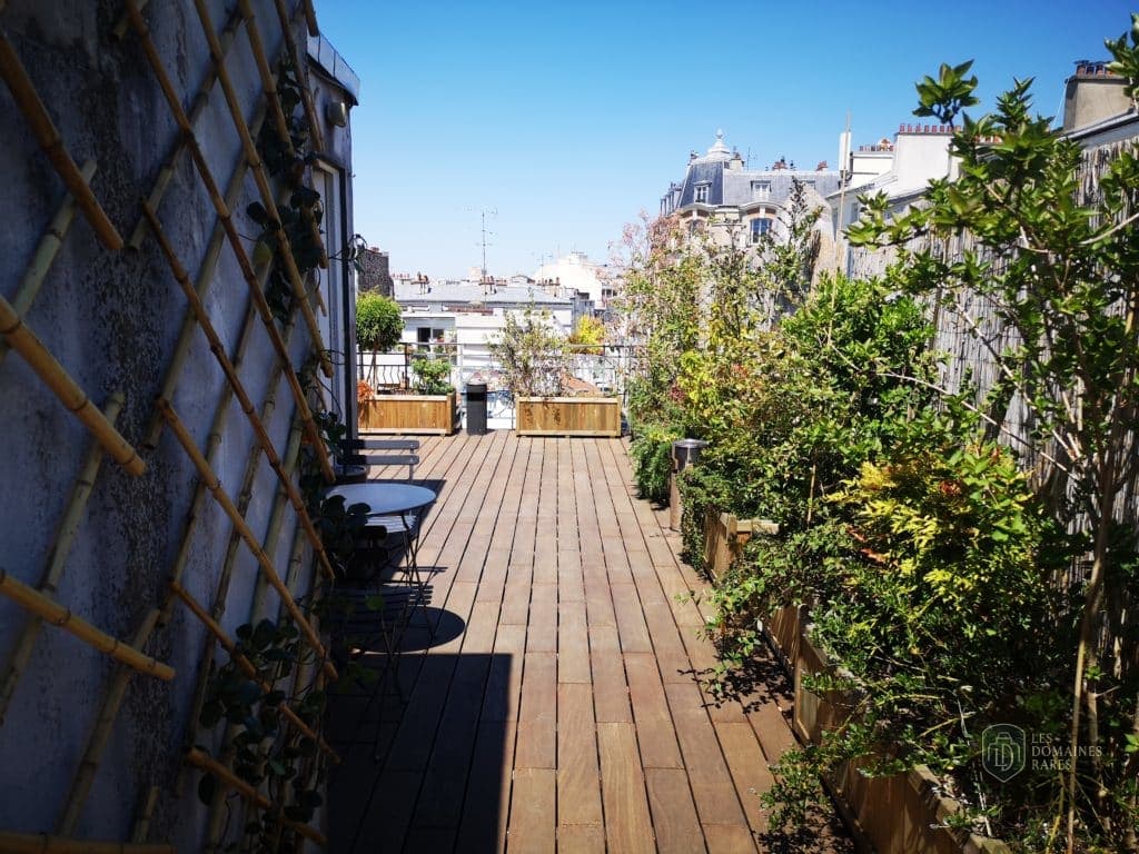 Terrasse arborée sur le toit