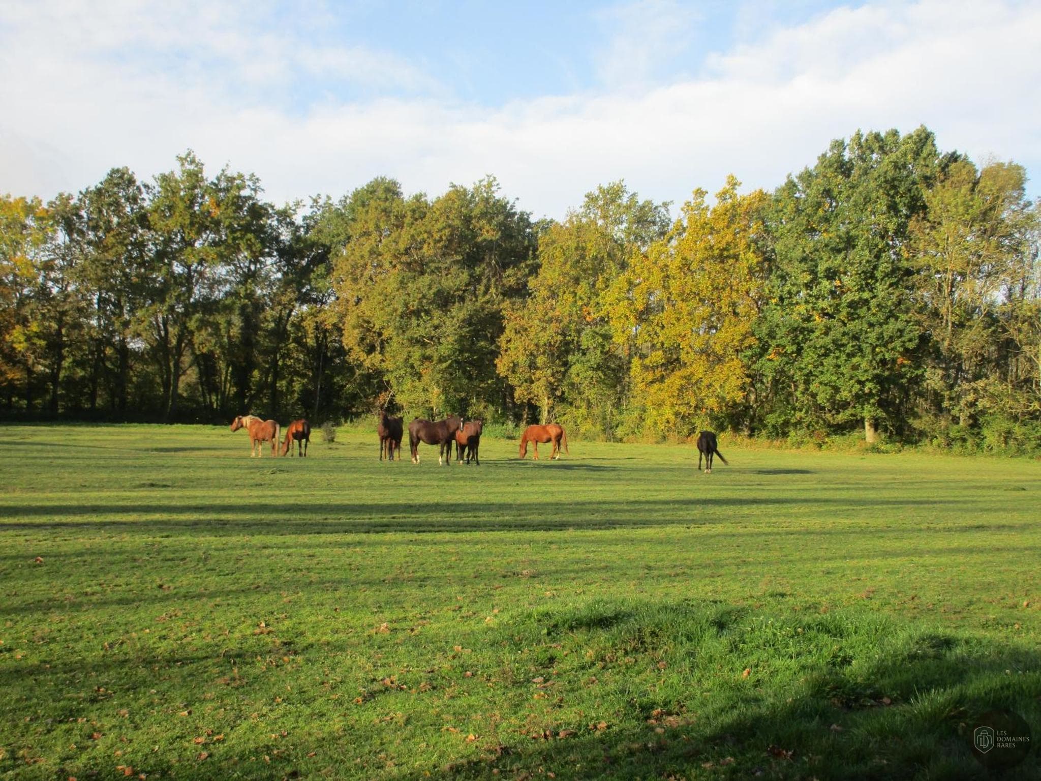 Parc des Oiseaux — Extérieur