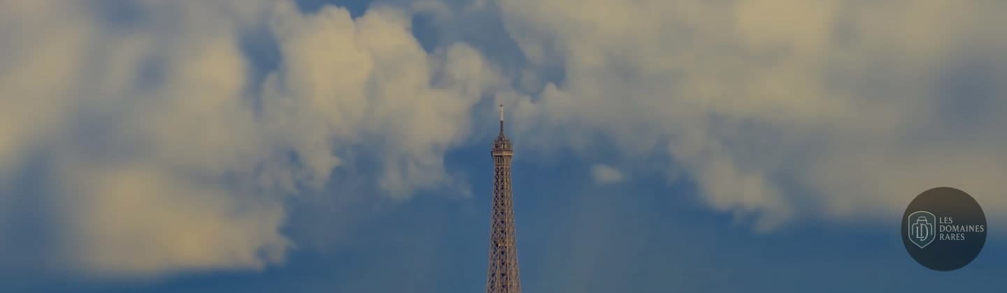 Vue sur la Tour Eiffel et ciel nuageux