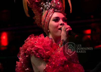 Chanteuse avec costume de scène