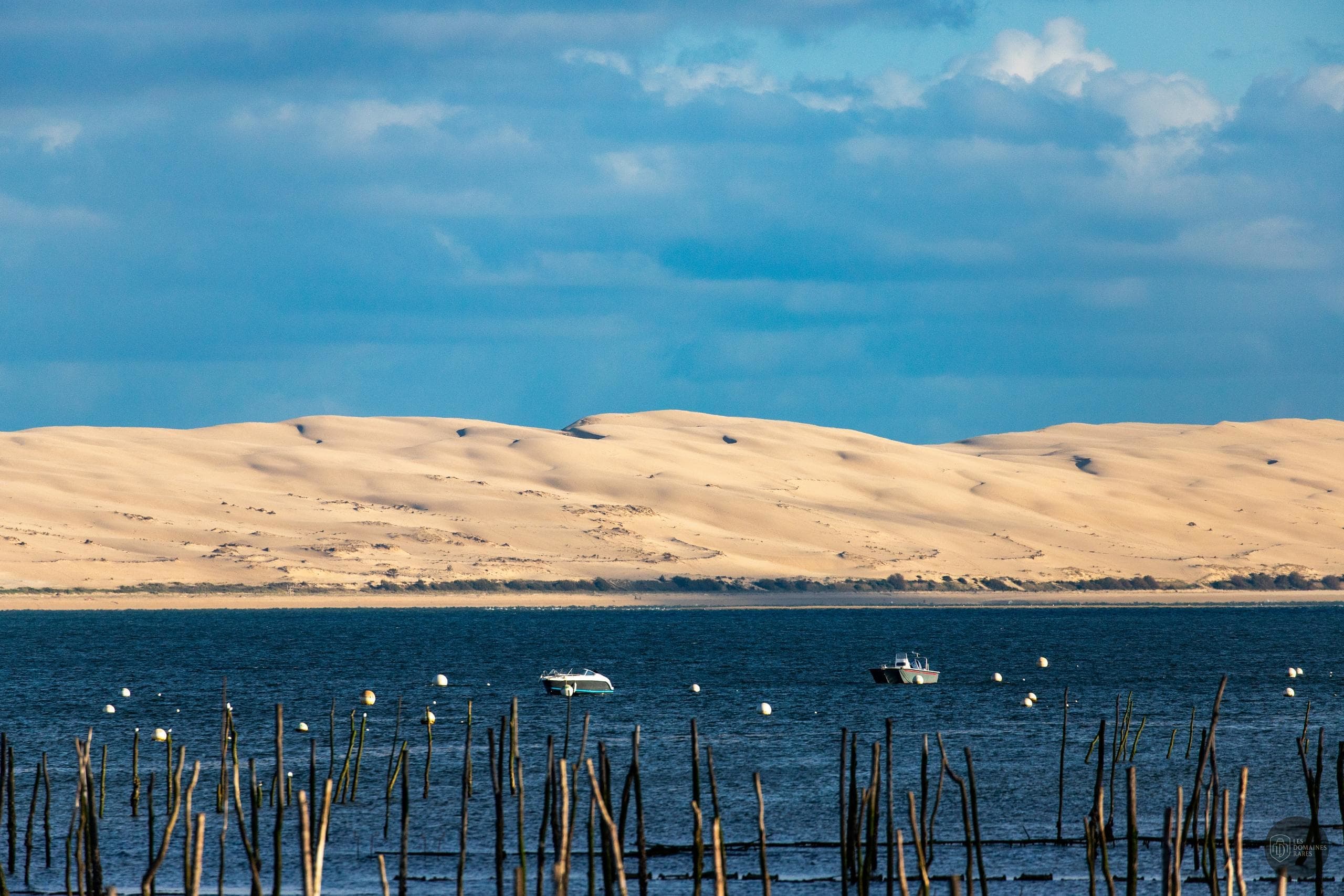 Vue sur la Dune du Pilat