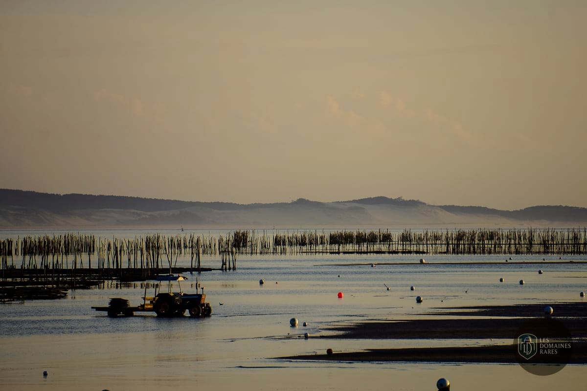 Tracteur dans le bassin d'Arcachon