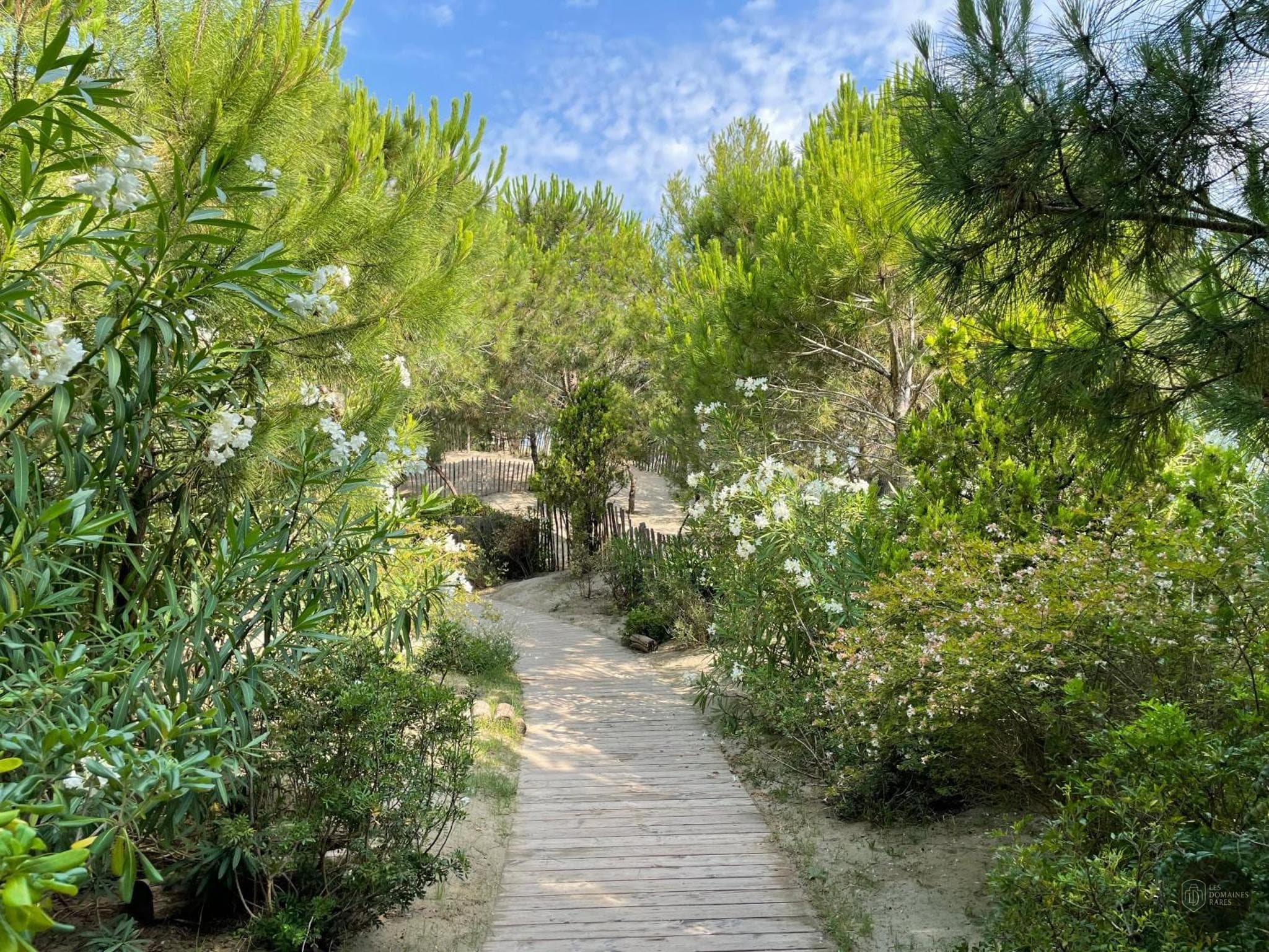 Vue extérieure de l'hôtel Plage Palace à Montpellier en Occitanie