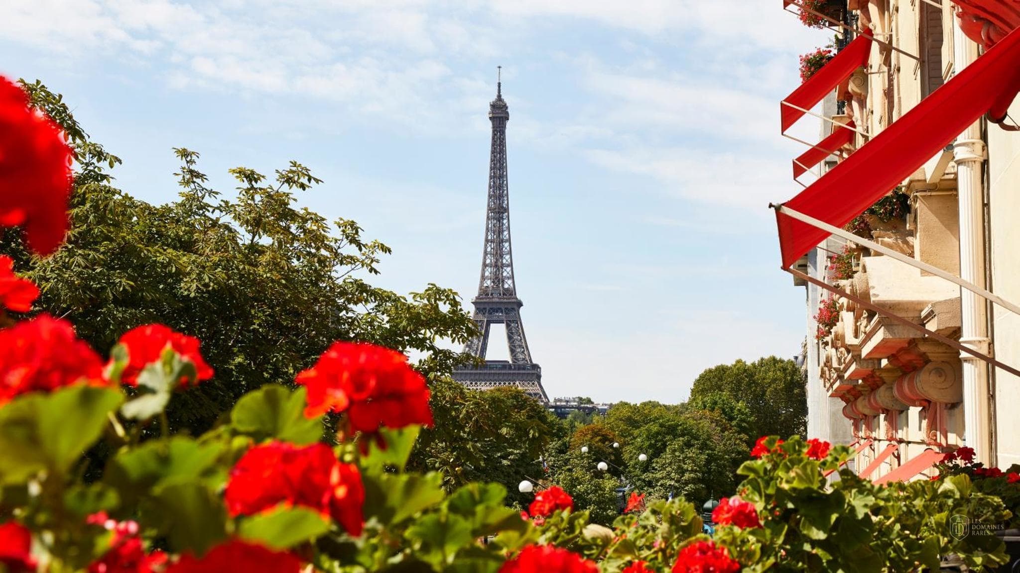 Plaza Athénée Paris