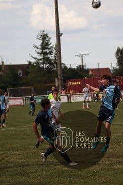 Joueurs de foot sur le terrain