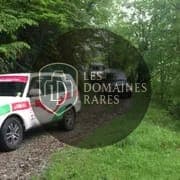 Randonnée 4x4 dans la forêt