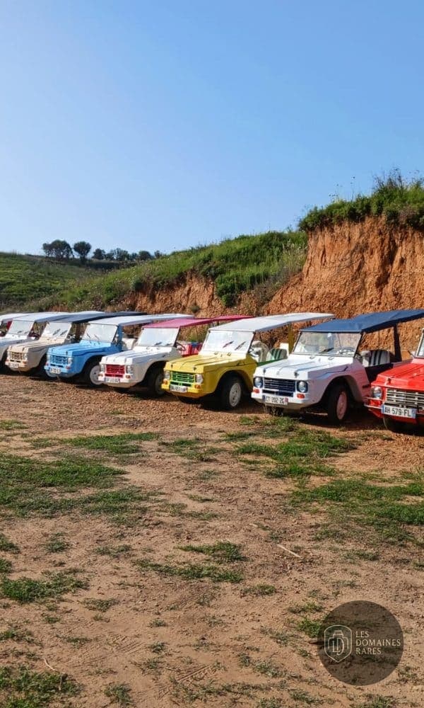 Vue extérieure du domaine Puravida Event en Occitanie