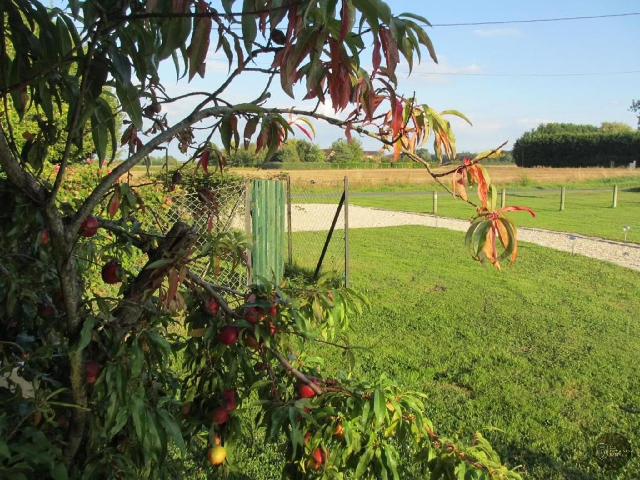 Vue extérieure du lieu Ranch de Sologne en Centre-Val de Loire